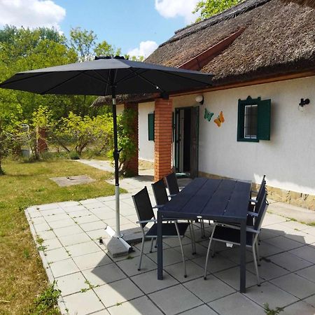 Villa Boróka Tanya Orgovany Exterior foto