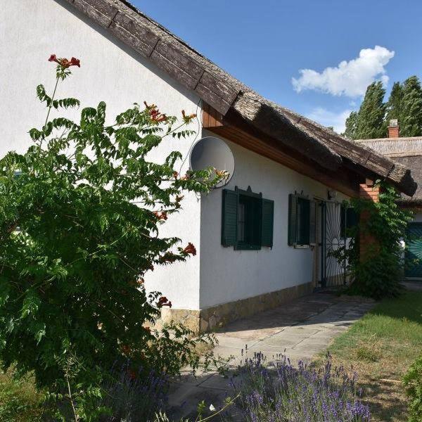 Villa Boróka Tanya Orgovany Exterior foto